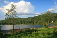 IMG_0442web