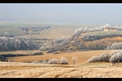 IMG_3899 a2
